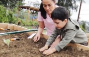 VictoryGarden3