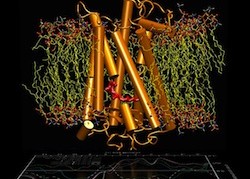 Protein modeling using NVIDIA Tesla GPU processor