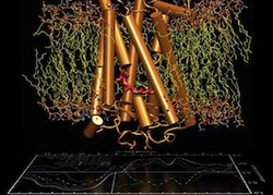 TeslaVertical_BioScience