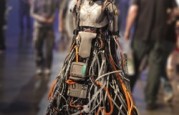 adjutant-small