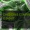 ging-companies-summit-ecs-gtc-2012