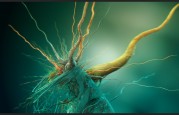 Growth_of_Cubic_Bacteria_ISC12