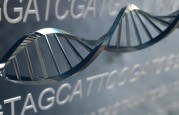 DNA Strand