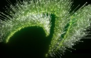 NVIDIA claw logo with green spines