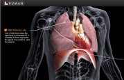 BioDigital Human showcased at Emerging Companies Summit