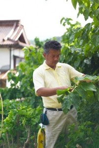 Norifumi Sato of the Kizuna-Mulberry Tea Company.