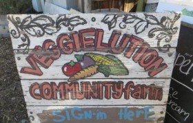 Veggielution Project Inspire