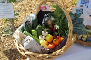Vegetables grown at Veggielution. Vegetables grown at Veggielution.