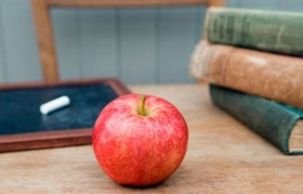 teacher's apple