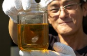 biodieselfeatured