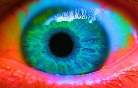 eyeball