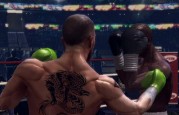 boxer