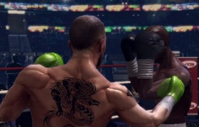 boxer