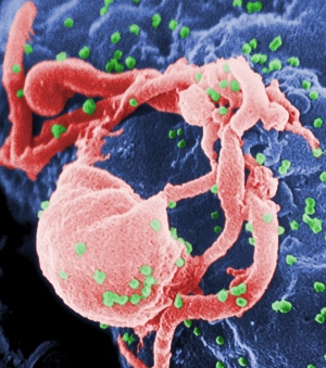 Your GPU can even join the fight against HIV. 