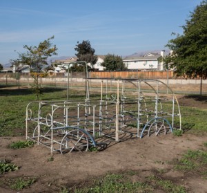 structureocala