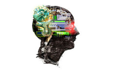 humanhead