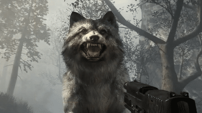 wolfwolf wolfwolf