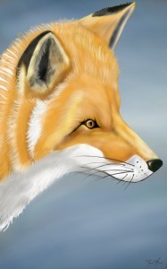 DirectStylus-fox