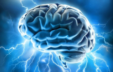 brainbrain