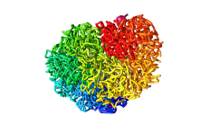 Fractal Globule