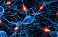 Neural network