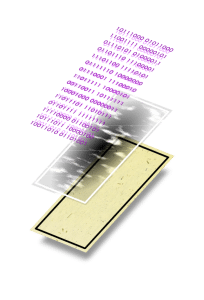   追踪纸张:Cypheme 的  AI 技术能识别产品纸标签的独特微粒。