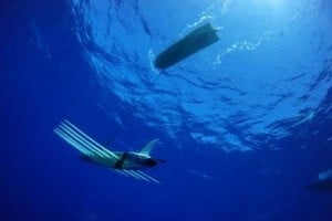 A Wave Glider SV3 with its hybrid propulsion system.