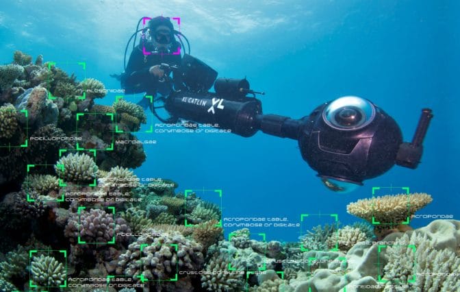 ディープラーニングによって自動的に分析されたサンゴ礁の写真。