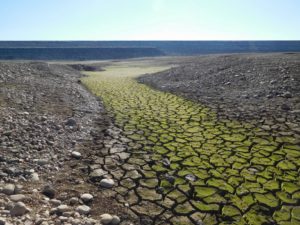 Droughts and deep learning: Record-low water levels in California's Folsom Lake during drought.