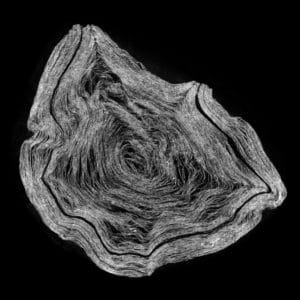 A CT scan of a Herculaneum scroll reveals its inner structure.