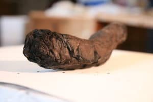 The Herculaneum scrolls, wound about 100 times around, are sealed by the heat of the lava.
