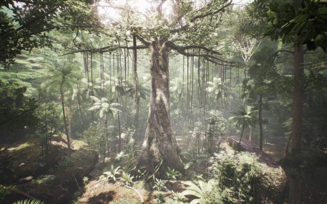 Still image from Tree VR narrative