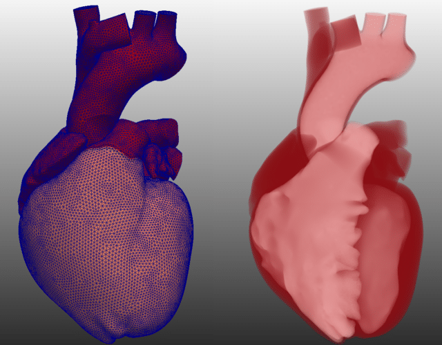 scientific visualization of heart using IndeX