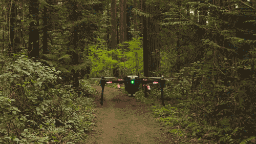 GPSに頼らず森の道に沿って飛行するドローン（出典：NVIDIA）