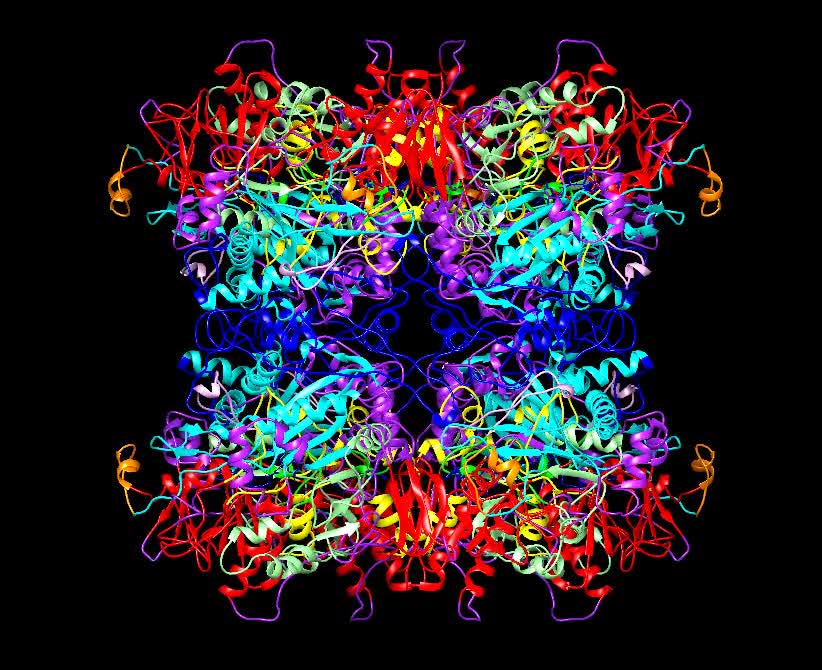 Structure of the alcohol oxidase enzyme, visualized by Cryo-Em.