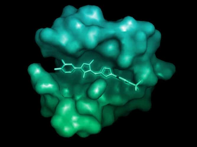 This simulation shows the Janus kinas 3 protein, which has been implicated in cancer and immune function. Atomwise aims to discover molecules that could be new medications for these and other diseases. Image courtesy of Atomwise.