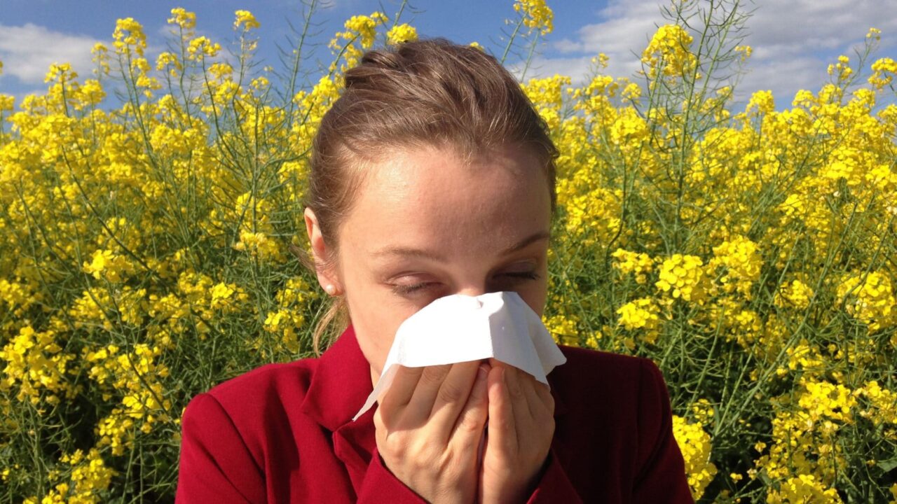 allergies