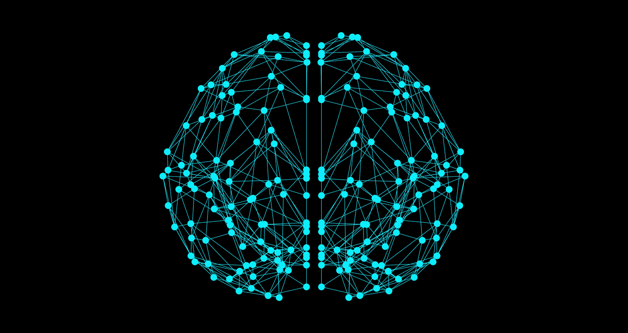 neural network brain