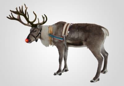 Rudolph the Reindeer Leads Santa's Sleigh on Christmas Eve