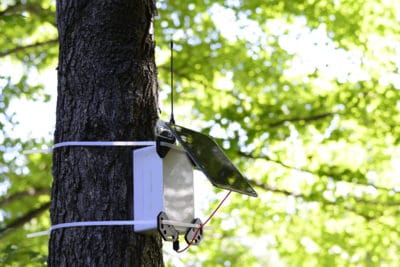outland analytics device mounted on a tree