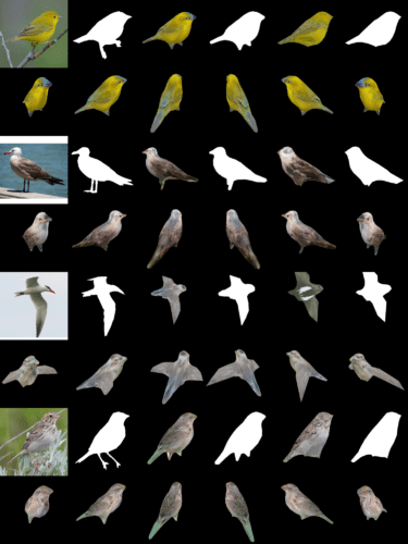 The team tested DIB-R on four 2D images of birds (far left). The first experiment used a picture of a yellow warbler (top left) and produced a 3D object (top two rows).