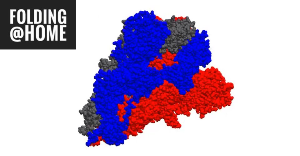 Coronavirus spike protein by F@H