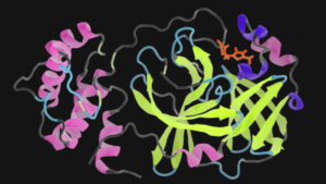 Quantum of Solace: Research Seeks Atomic Keys to Lock Down COVID-19