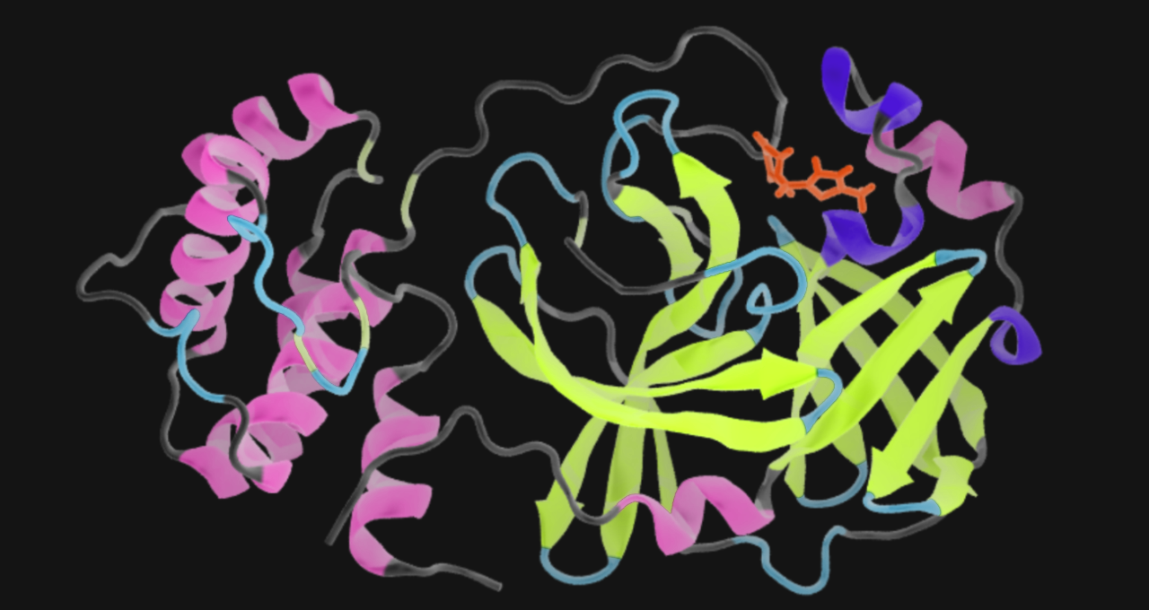 UCR Quantum COVID-19