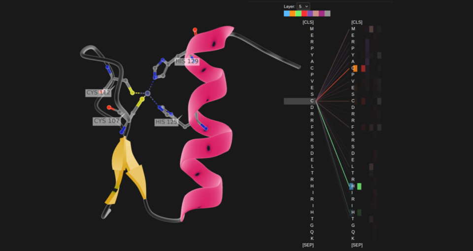 Protein analysis provided by Technical University of Munich