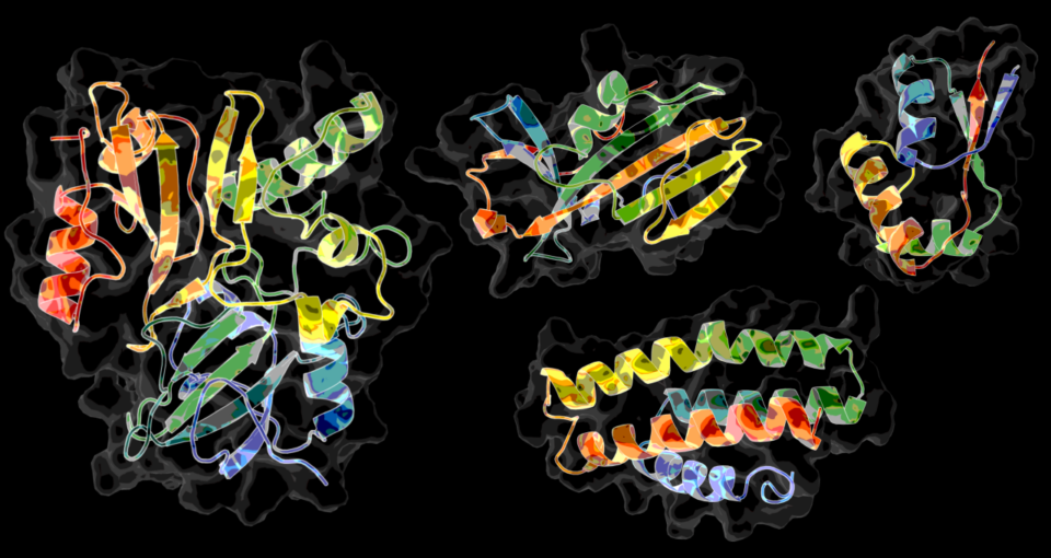 COVID proteins Stony Brook