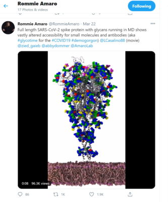 Tweet of coronavirus from Amaro Lab