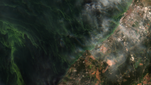 Big Planet, Bigger Data: How UK Research Center Advances Environmental Science with AI