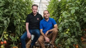 Unstung Heroes: Startup’s AI-Powered Tomato Pollinator Gives Bees a Break