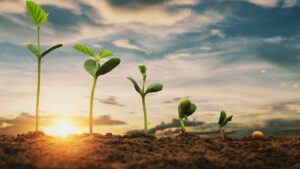 Food for Thought: Startups Harness AI to Nurture the Future of Agriculture